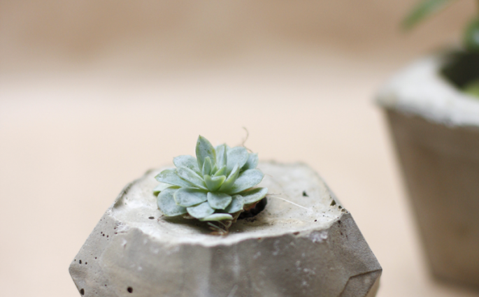 Concrete-Workshop Teaser | we love handmade