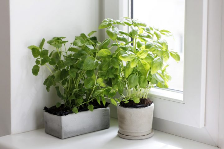 Betonblumentöpfe | we love handmade