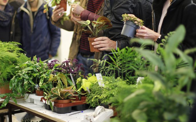 Erstes PlantFest Vienna