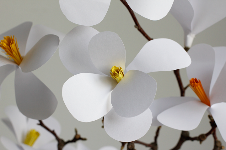 DIY: Magnolien aus Papier selbermachen | we love handmade