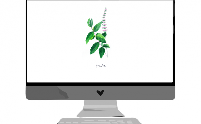 Januar-Wallpaper: Minze | we love handmade