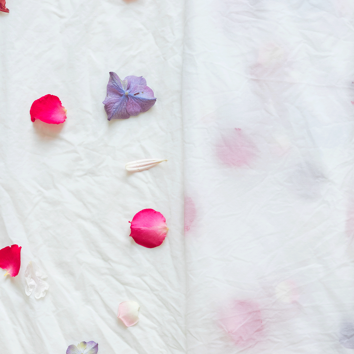 Kombiticket: Färbe- und Näh-Workshop im Néon Shared Atelier | Workshop-Programm 2024 we love handmade