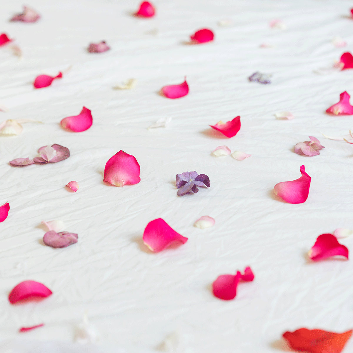 Kombiticket: Färbe- und Näh-Workshop im Néon Shared Atelier | Workshop-Programm 2024 we love handmade