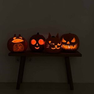 Vier selbstgeschnitzte, stimmungsvoll erleuchtete Halloween-Kürbisse auf einer Holzbank bei der we love handmade Craft & Aperitivo Night in Wien.